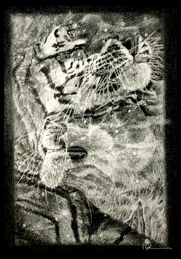 2 Tigers In Love Drawing, Pencil Drawing, Spiritual