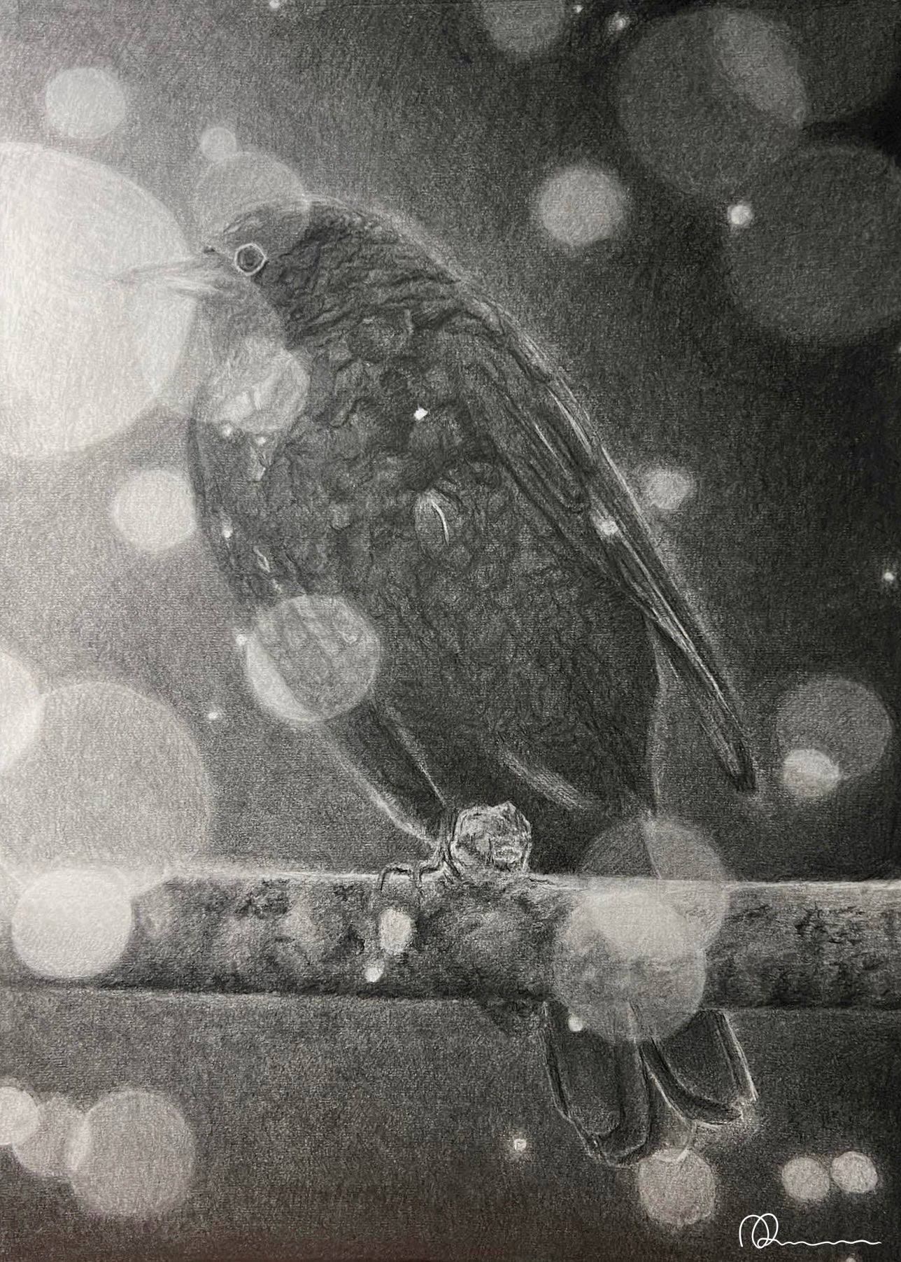 Blackbird I