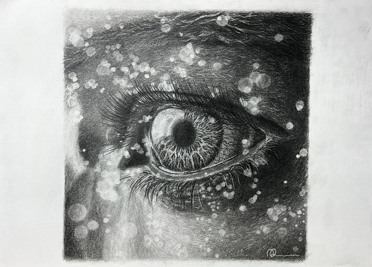 The Elegant Eye - Art Print Signed and Numbered