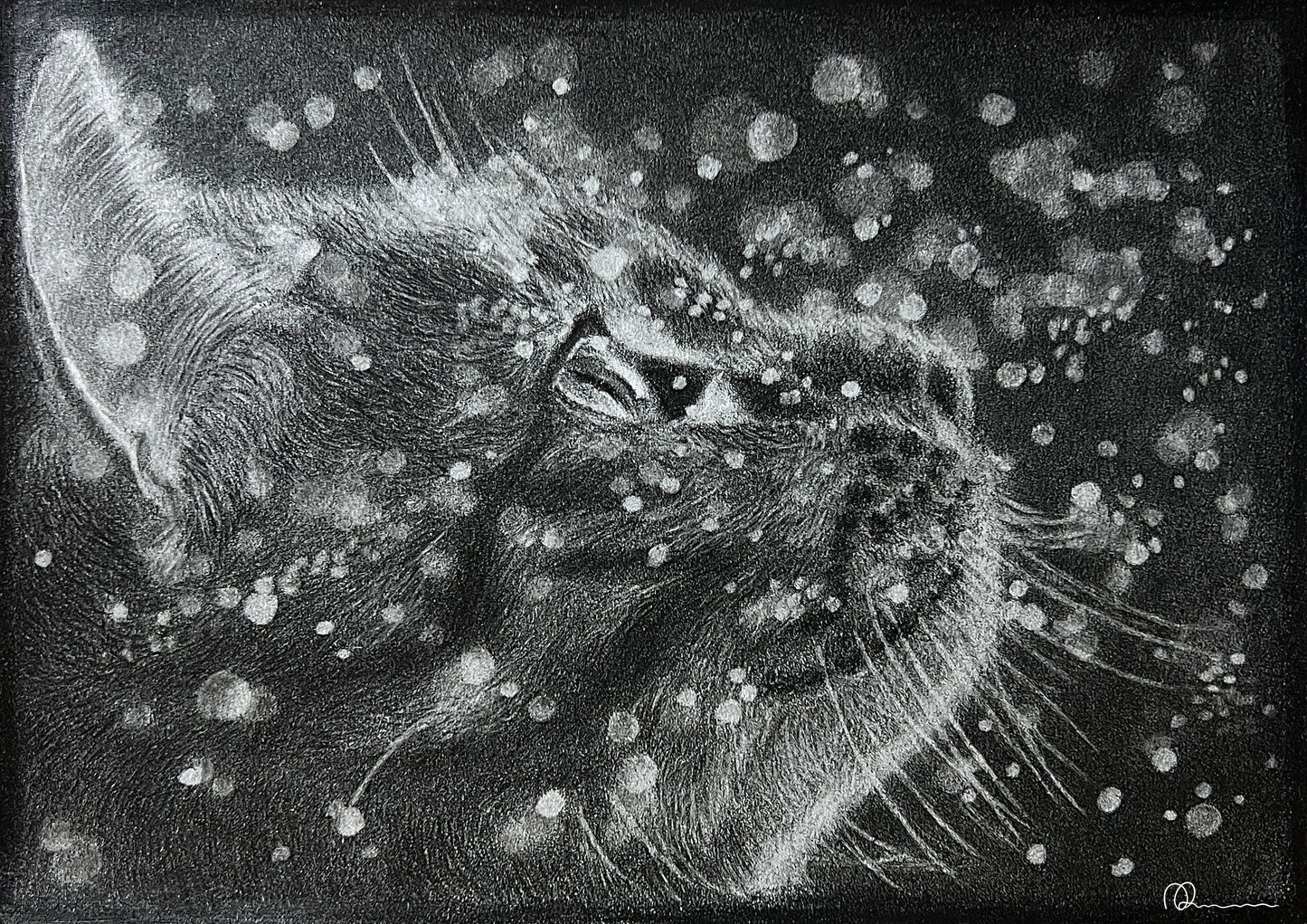 Realistic Cat Drawing (Original Drawing)