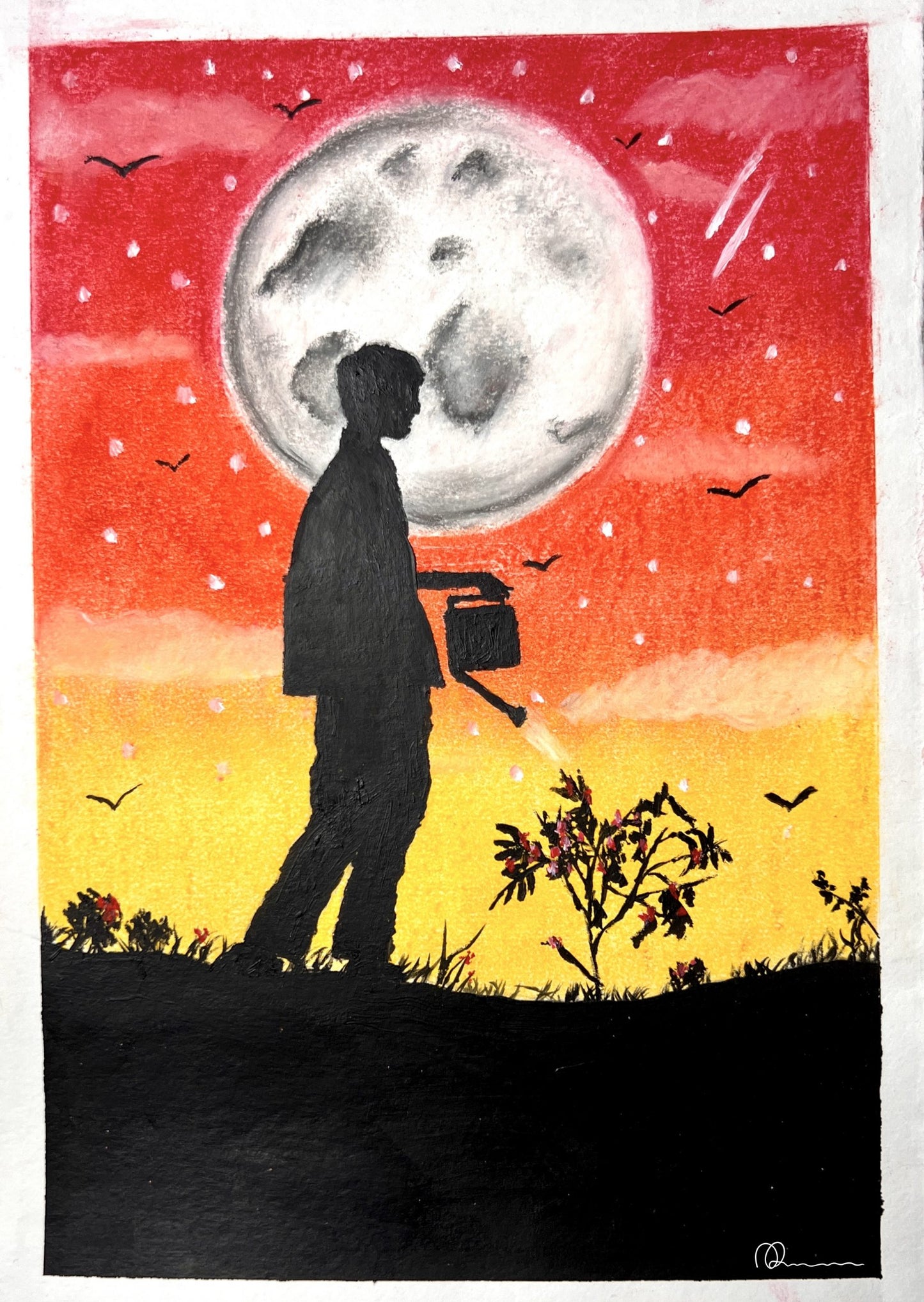 Boy Watering The Plants