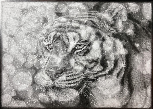 Detailed pencil drawing of a tiger's face with a textured background