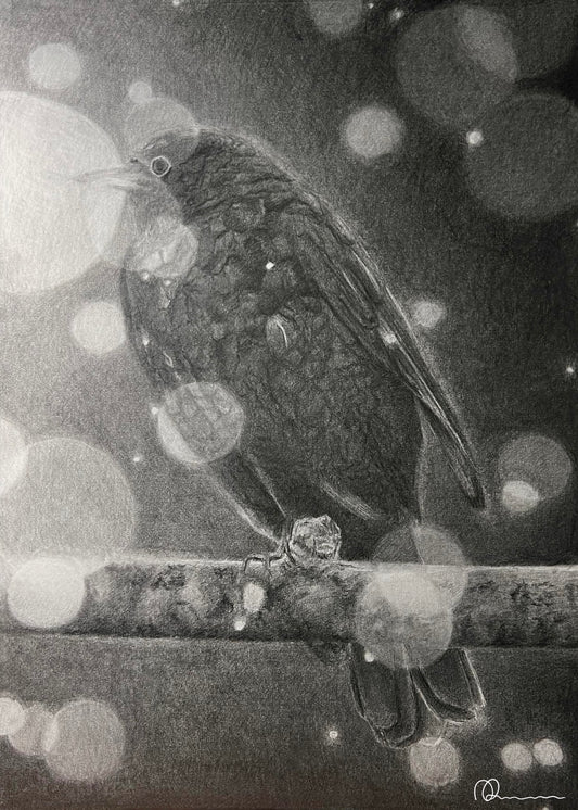 Blackbird I