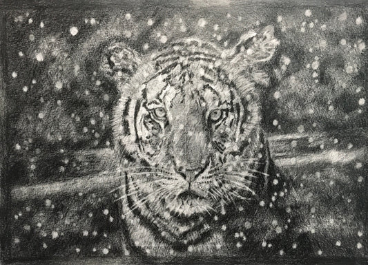 Detailed pencil drawing of a tiger in a snowy landscape