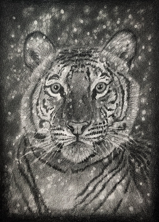 Spirit Of The Tiger - Art Print - Signed