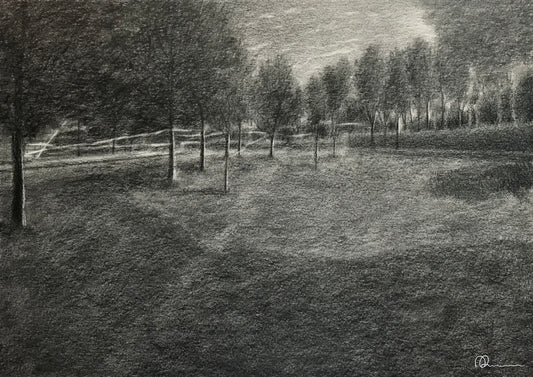 Pencil drawing of a landscape with trees and a fence