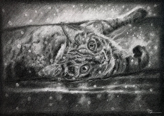 Pencil drawing of a cat lying on a floor with a starry sky background