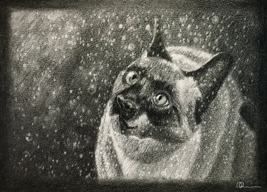 Black and white illustration of a cat in a blanket with snowflakes falling