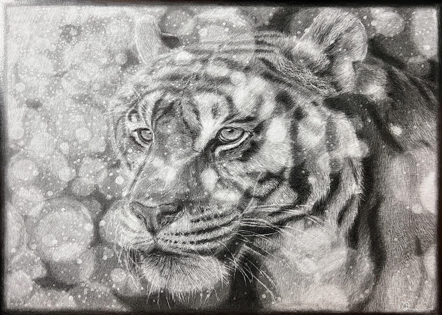Detailed pencil drawing of a tiger's face with a textured background