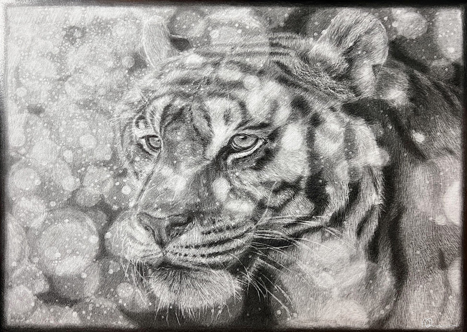 Detailed pencil drawing of a tiger's face with a textured background